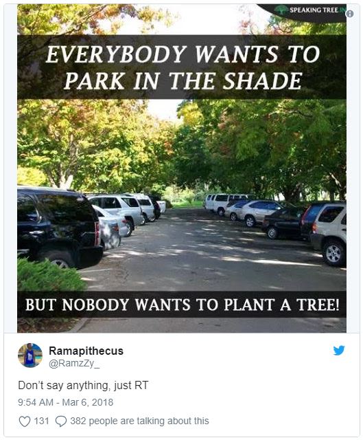 Speakingtree everybody wants to park in the shade but nobody wants to plant a tr
