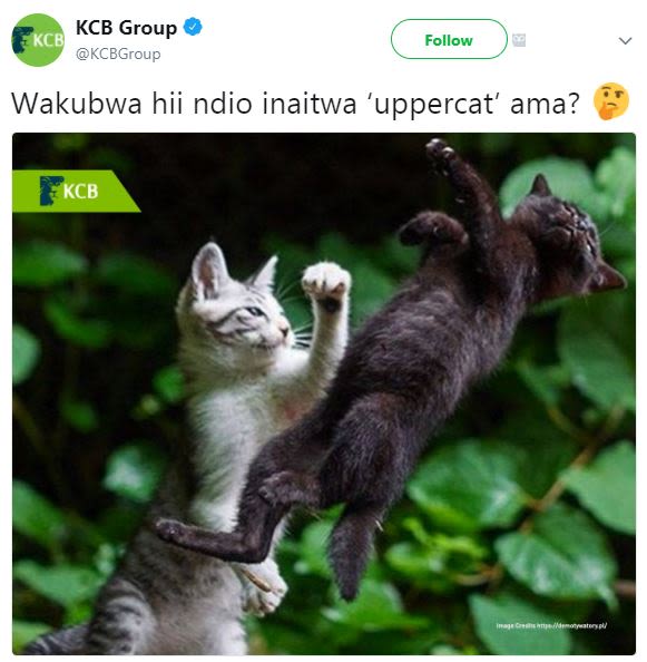 Kcb group kcb kcbgroup follow wakubwa hii ndio inaitwa 'uppercat' ama? kcb an