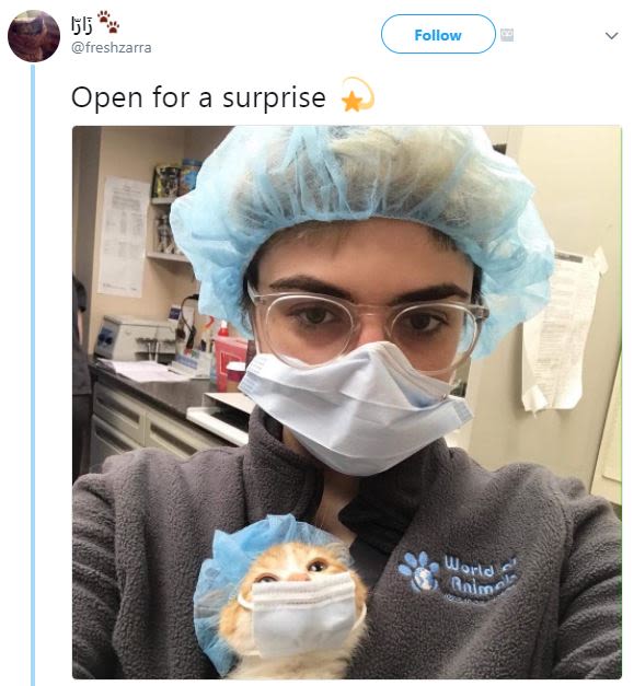 Ijlj freshzarra follow open for a surprise world onioo