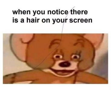 when you notice there is a hair on your screen