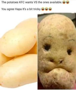 The potatoes KFC wants VS the ones available You agree Hapa Its a bit tricky.