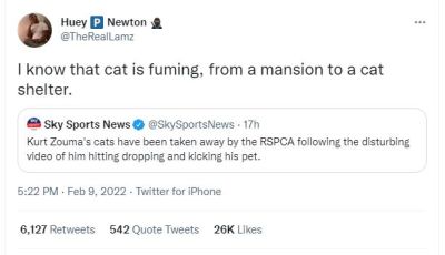 Huey P Newton TheRealLamz know that cat is fuming, from a mansion to a cat shelt