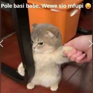 Pole basi babe. Wewe sio mfupi