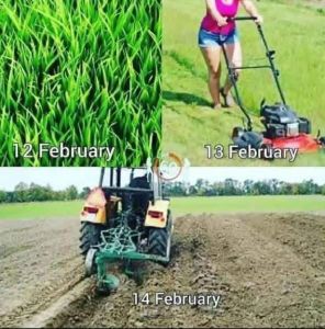 12 February 13 February 14 February