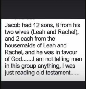 Jacob had 12 sons, 8 from his two wives Leah and Rachel and 2 each from the hous