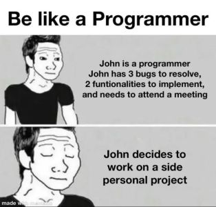 Be like a programmer john is a programmer john has 3 bugs to resolve, 2 funtiona