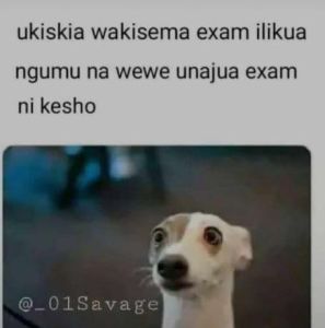 Ukiskia wakisema exam ilikua ngumu na wewe unajua exam ni kesho 01savage