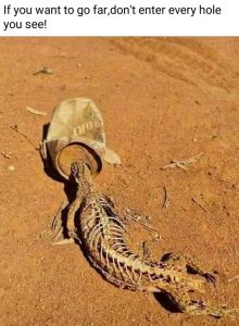 If you want to go fardon't enter every hole you see! w