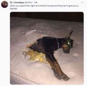 Ig closedopp ihbrts ieh whenyou soeno the nient ar tneno house enotheyoon t eive