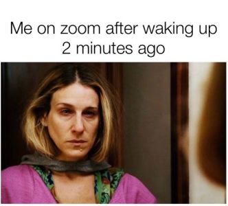 Me on zoom after waking up 2 minutes ago