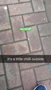 It's a little chilli outside