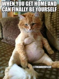 Hen you gethomeand ganfinally be ourself theankiouscat