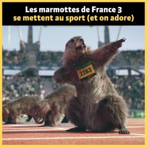 Les marmottes de france 3 se mettent au sport et on adore