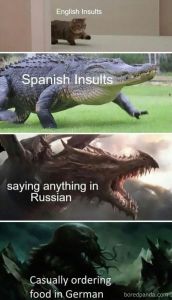 English insults spanish insults saying anything in russian casually ordering foo