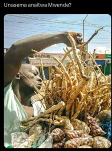 Unasema anaitwa mwende? 5 ly i iuoc