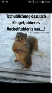 69 10.30 tschuldichung dass isch klingel, abber es vochelfudder is leer.! pfälze