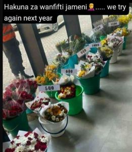 Hakuna za wanfifti jameni again next year we try 880 600 500