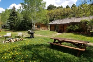 Taylor Creek Cabins