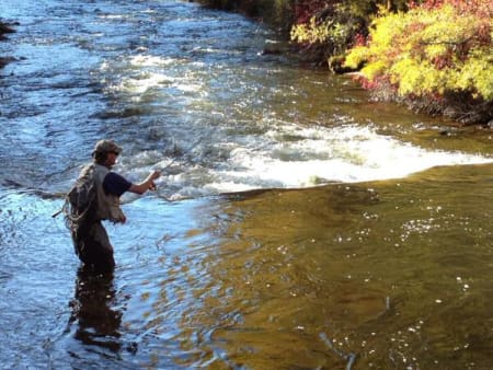 Fly Fishing the edge of a pool on Frying Pan River near Basalt Colorado