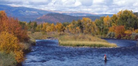 Fly fishing on the Roaring Fork River near Basalt Colorado in the fall