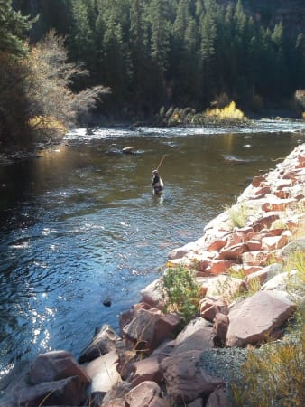 Fly Fishing a run on Frying Pan River near Basalt Colorado