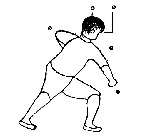 Διάγραμμα της Στάσης Ζhǐ Dāng Chuí