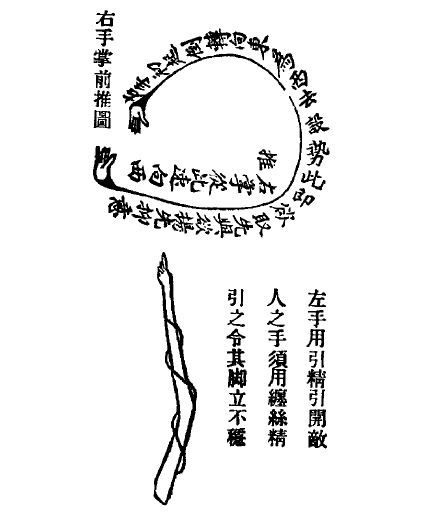 Διάγραμμα κίνησης της δεξιάς παλάμης
