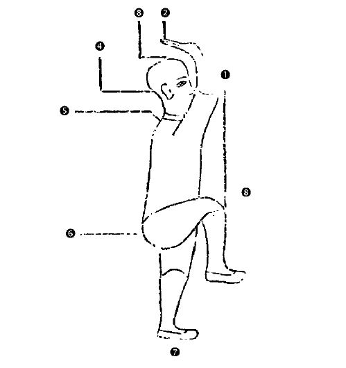 Διάγραμμα της Στάσης Jīn Jī Dú Lì