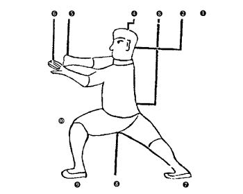 Διάγραμμα της Στάσης Yǎn Shǒu Chuí