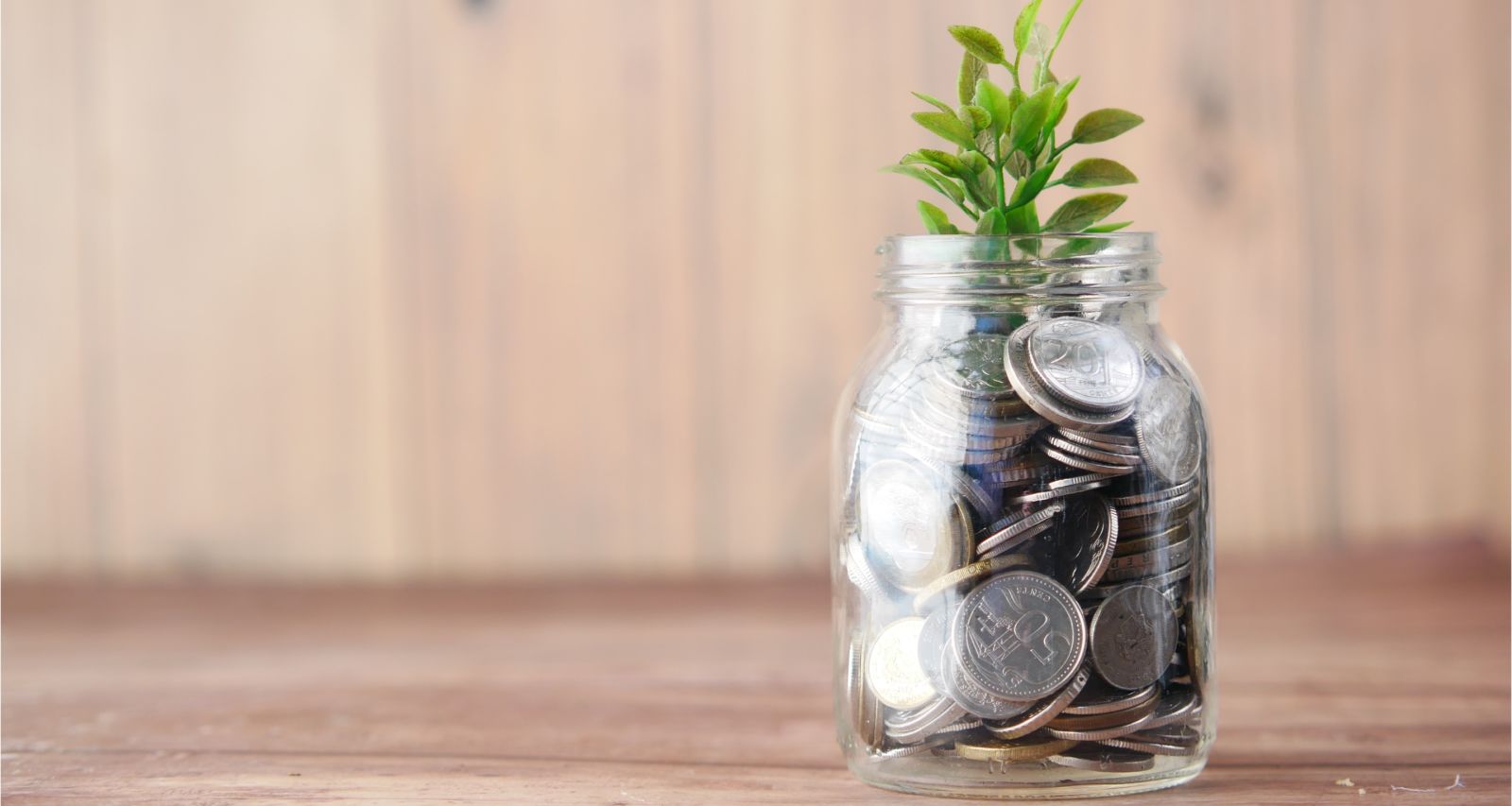 Which Types of Investors Fund Startups?