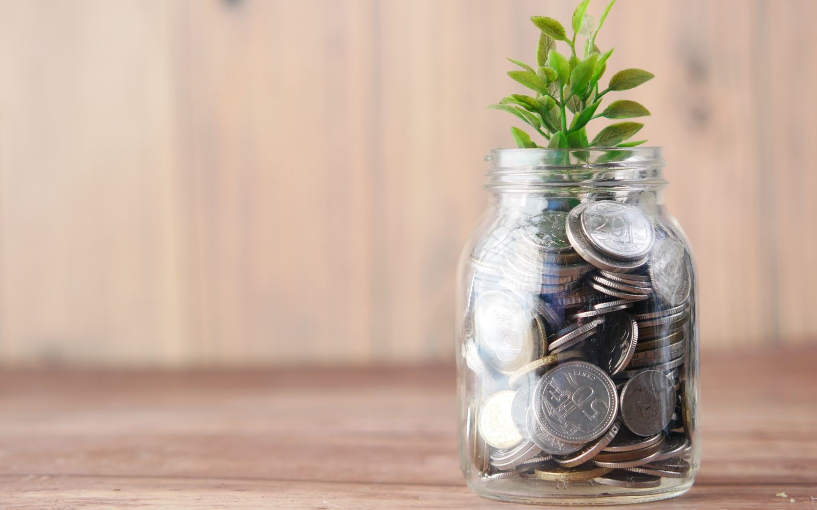 Which Types of Investors Fund Startups?