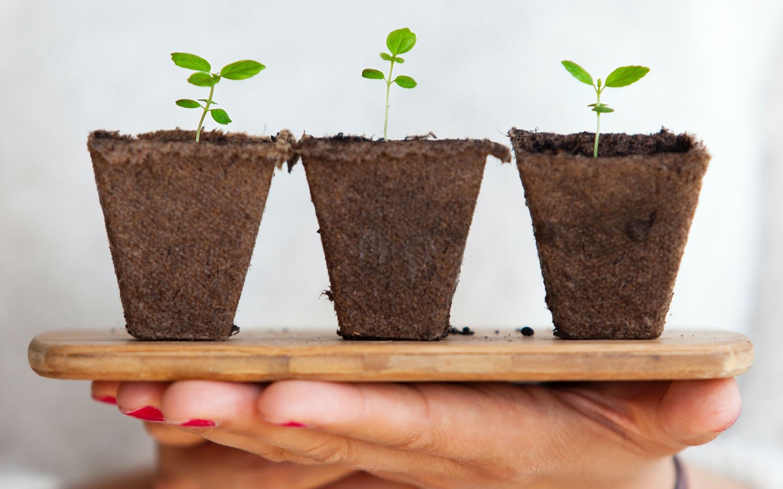 How to Use Growth Hacking to Drive Startup Success