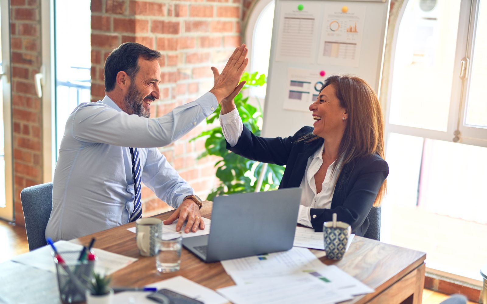 What Makes a Mentor and Mentee Relationship Successful?