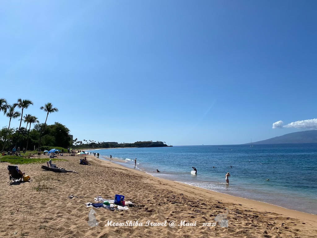 https://res.cloudinary.com/meowshiba/image/upload/v1671781293/2022 Maui resort/beach_1_njlebj.jpg