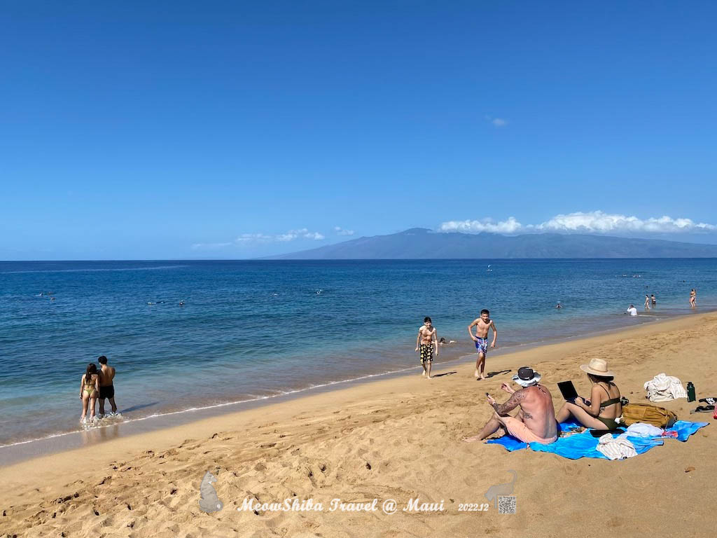 https://res.cloudinary.com/meowshiba/image/upload/v1671781293/2022 Maui resort/beach_2_mk75m2.jpg