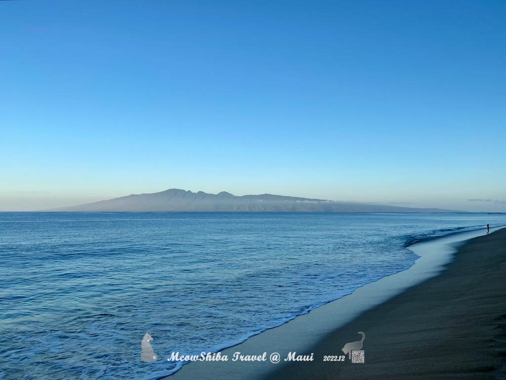 https://res.cloudinary.com/meowshiba/image/upload/v1671781293/2022 Maui resort/beach_3_mwdjry.jpg