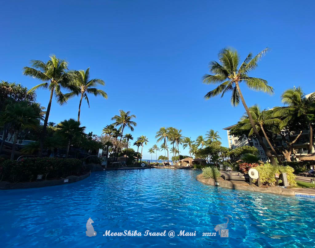 https://res.cloudinary.com/meowshiba/image/upload/v1671781295/2022 Maui resort/pool_2_qys1zo.jpg
