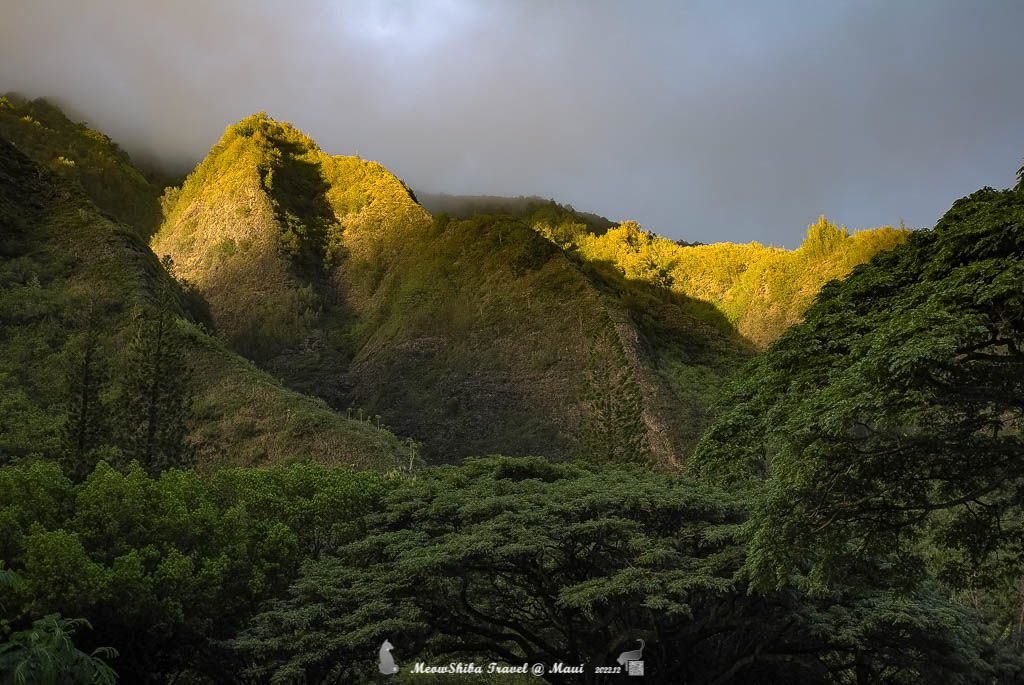 https://res.cloudinary.com/meowshiba/image/upload/v1672258326/2022 Maui干货/hawaii-leica-3_pisg2s.jpg