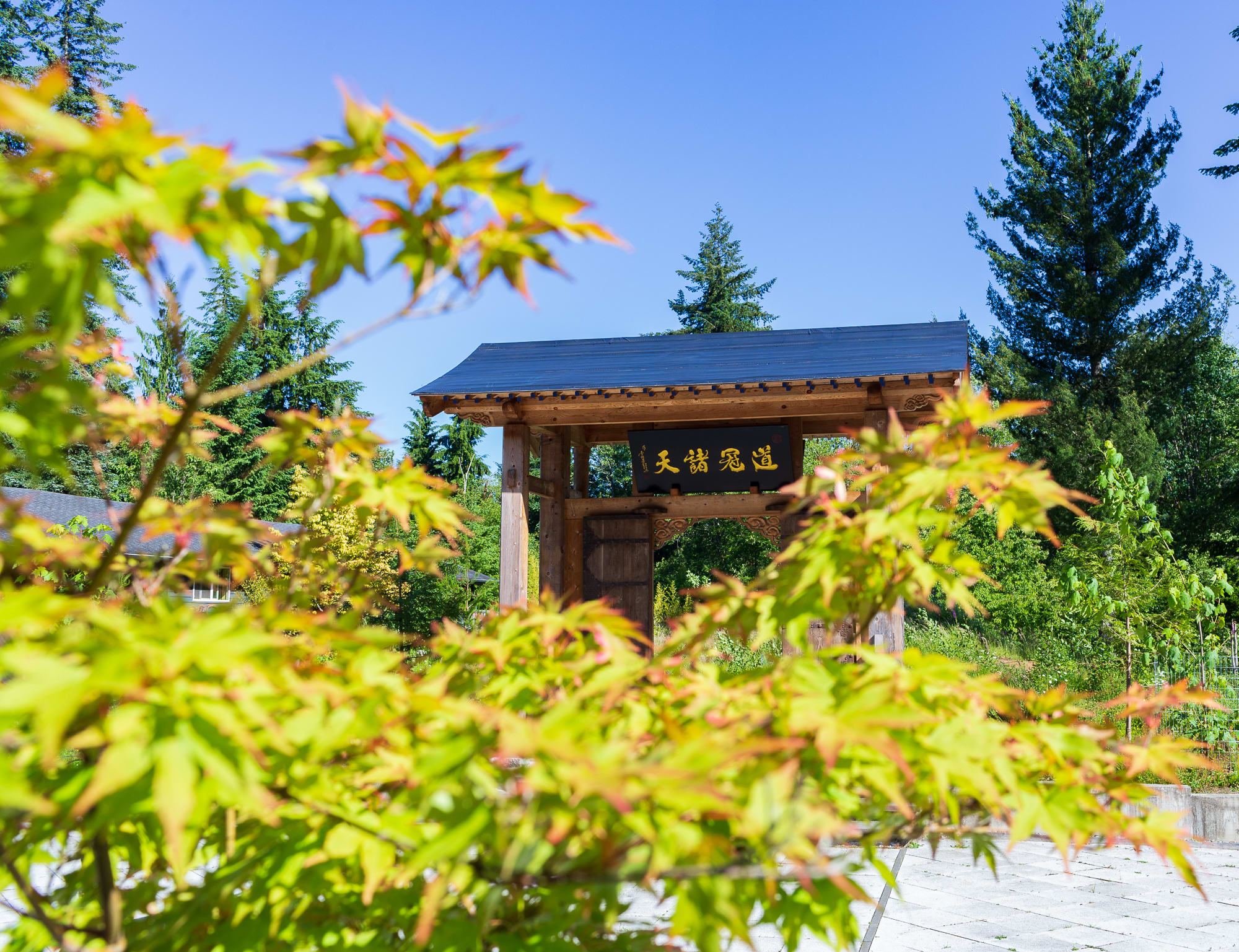 西雅图北廿二湖，青城山下玄修宫| Lake 22 & Seattle Taoist Studies 