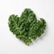 Kale