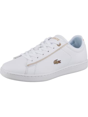 Lacoste Dein Outlet ❤️ für Kindermode