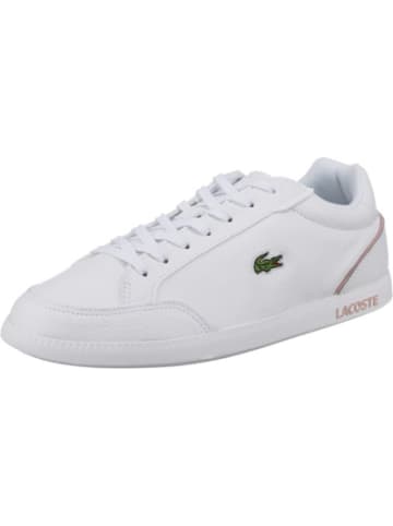 Tenis lacoste outlet