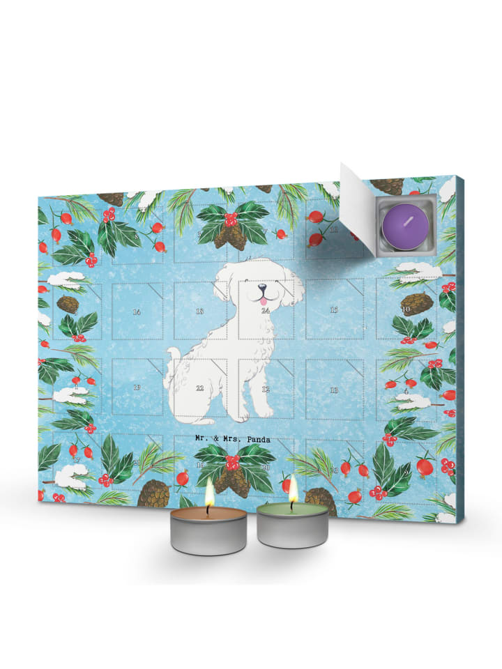 Adventskalender Bichon Frisé Moment ohne Spruch in Eisblau