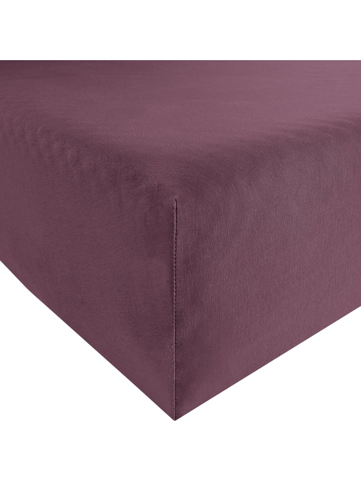 Interlock-Jersey Spannbettlaken Memmingen in aubergine
