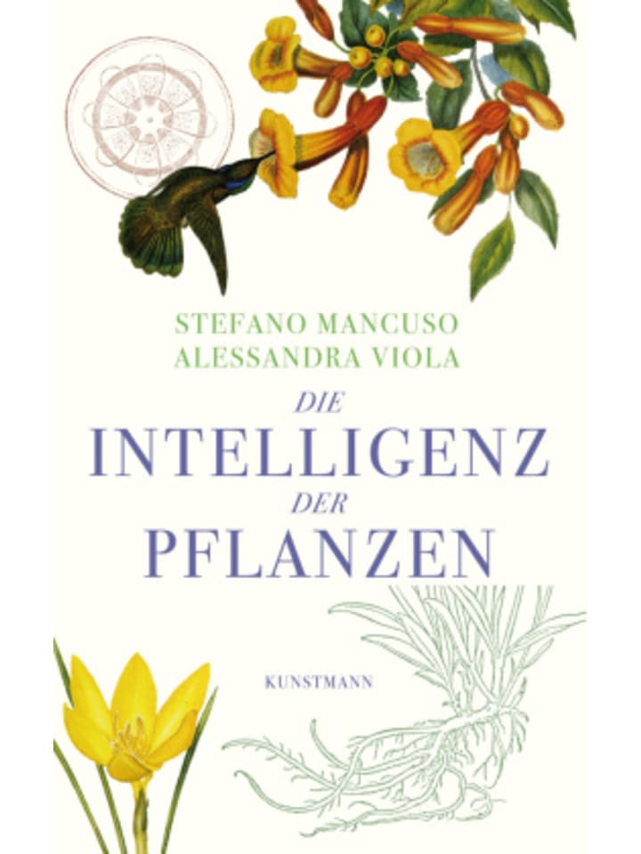 Buch - Die Intelligenz der Pflanzen