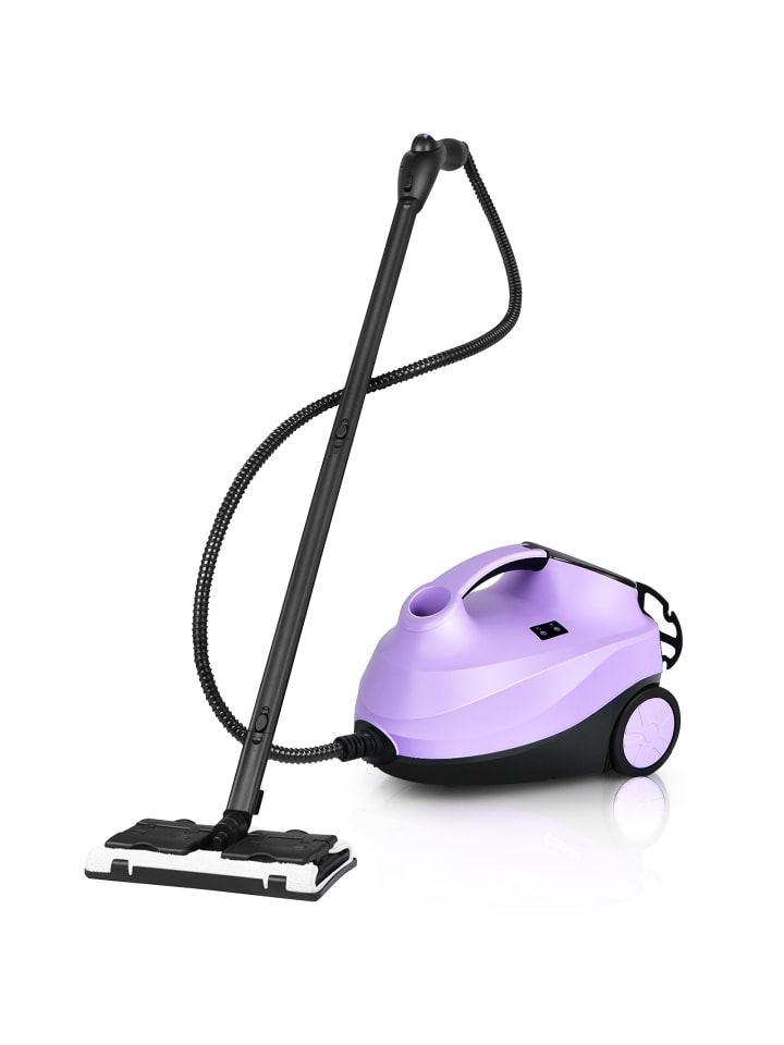 Dampfreiniger 2000W in Lila