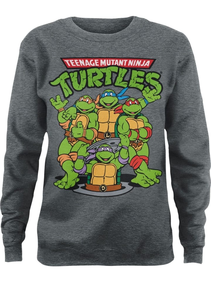Pullover in Grau