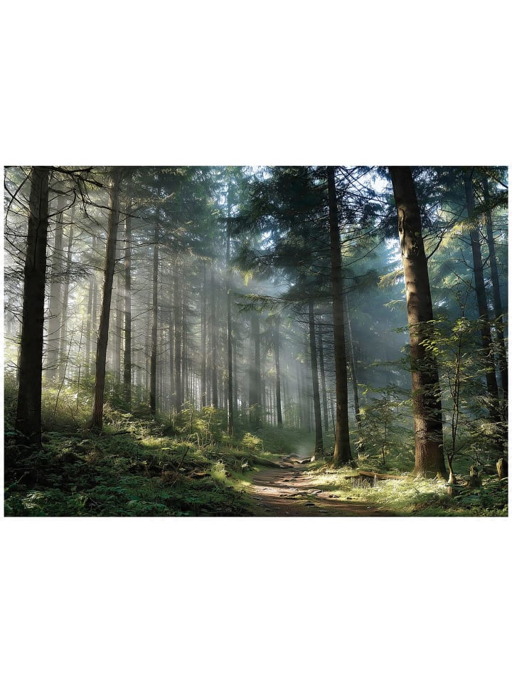 Fototapete Wald in Grün
