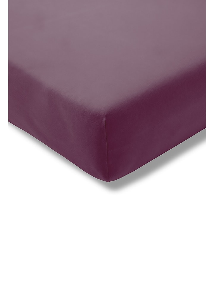 Spannbetttuch Jersey-Stretch in aubergine