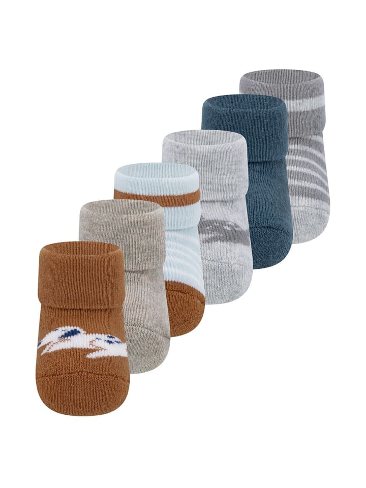 6er-Set Newborn Socken 6er Pack Hund in 001-002